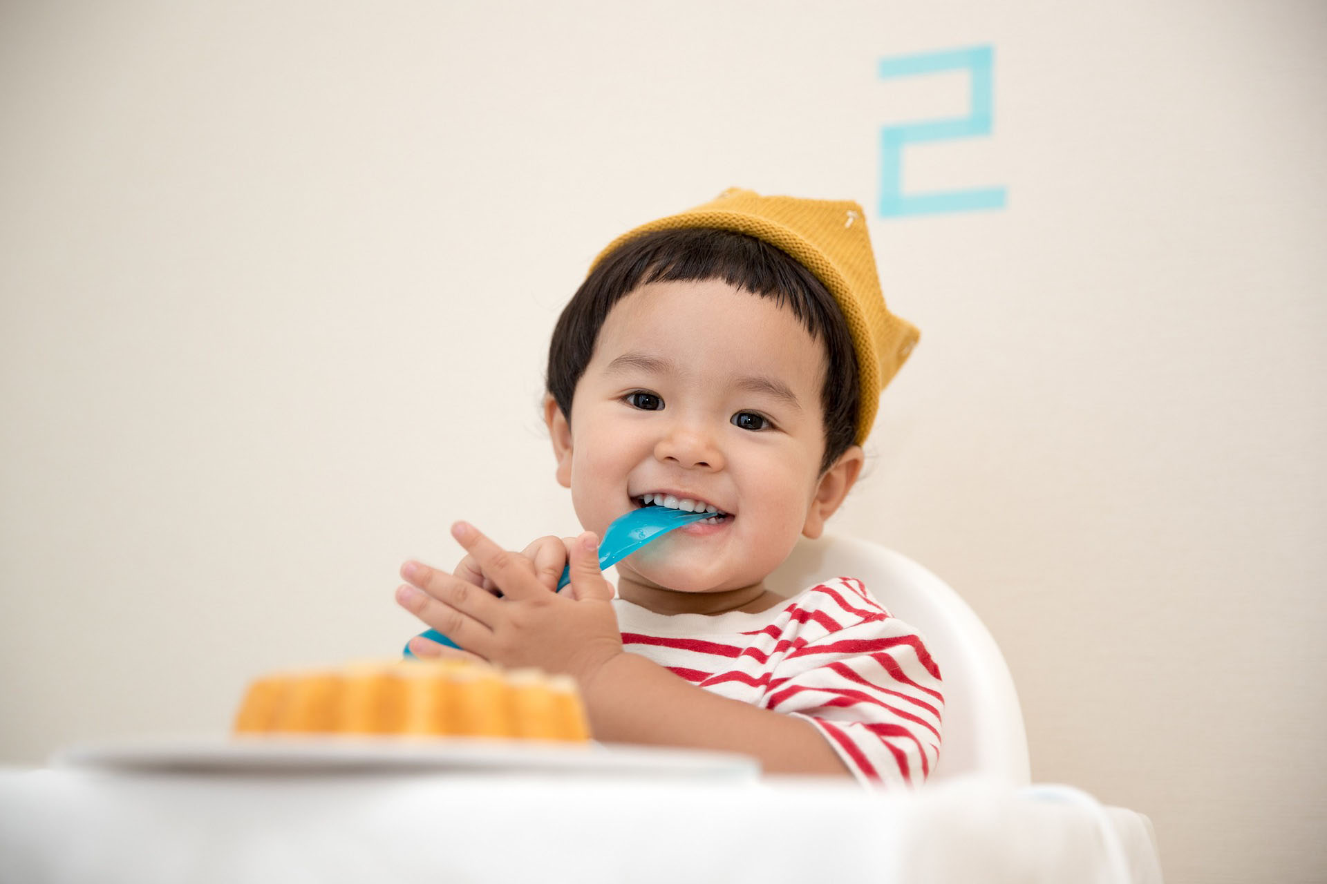 Introduction To Baby Food Types